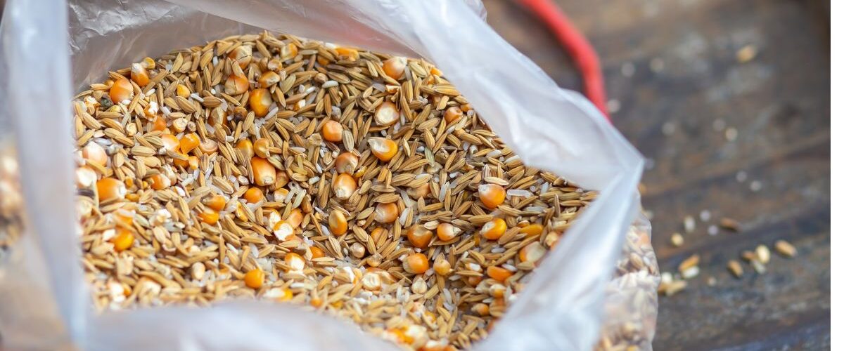 фуражът за кокошките качествен