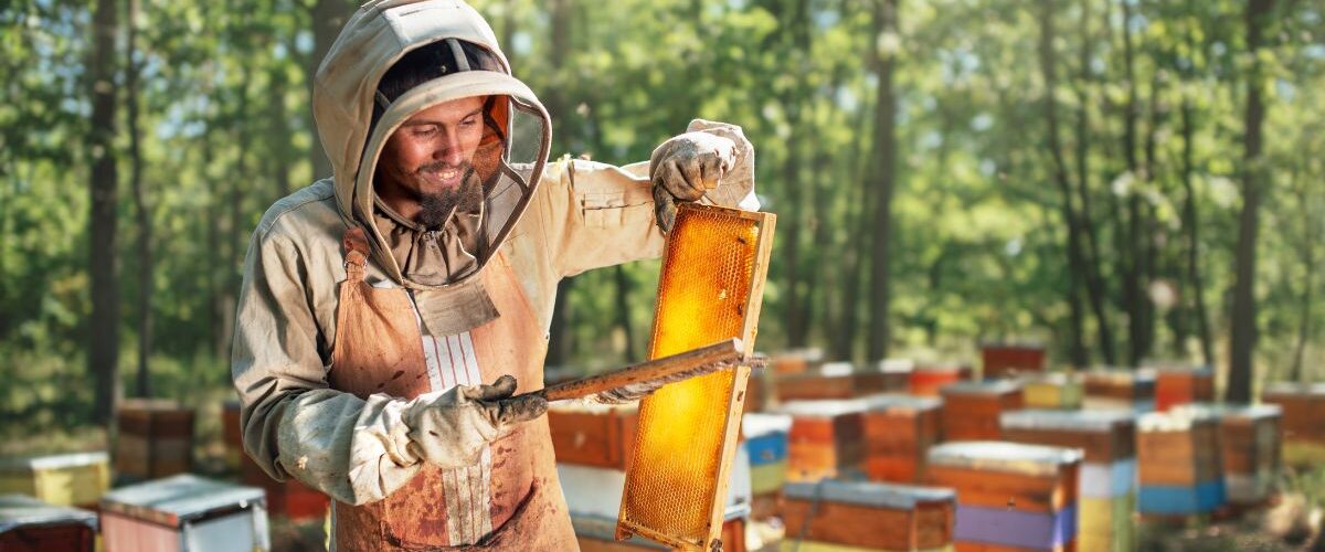 Кога се вади мед