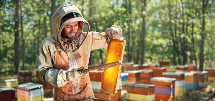 Кога се вади мед