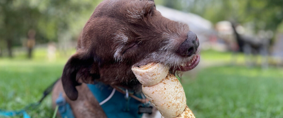 Натурална грижа за куче